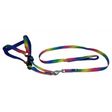 Scoobee Dog Multicolor Padded Nylon Harness And Leash Set 0.75 Inch